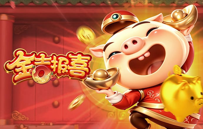365速发国际有多少年了
